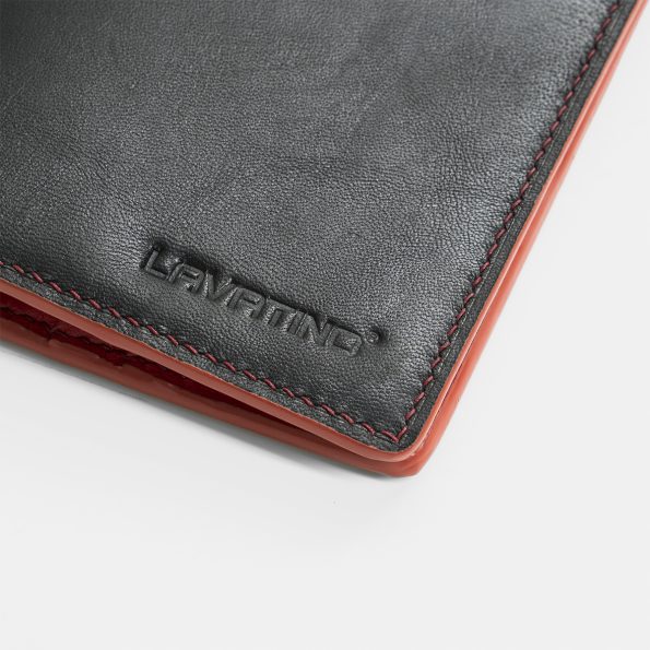 WDB10-DD-detail