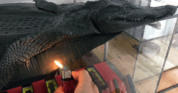 Hơ bằng lửa cũng là cách giúp bạn dễ dàng phân biệt da cá sấu thật và giả